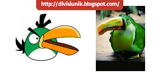 Burung Angry Birds di Dunia Nyata