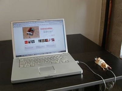 (PICT+NGAKAK)Cara Membuat Mouse Komputer (PC) Sendiri