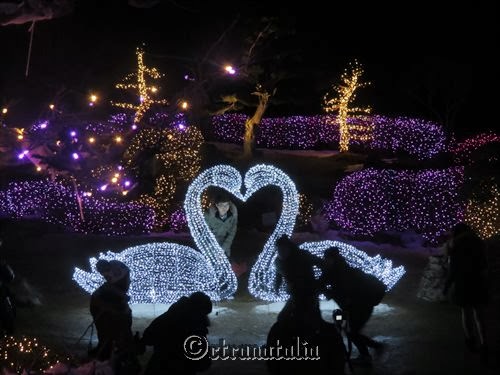 &#91;KOREA&#93; Imjingak Park-Paju &amp; Garden Of Morning Calm. Beautiful place near Seoul :)