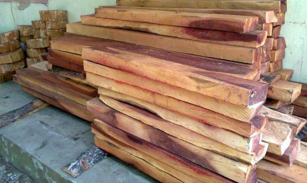 Mengenal Sedikit Lebih Detail Bokken (Pedang Kayu) Sawo