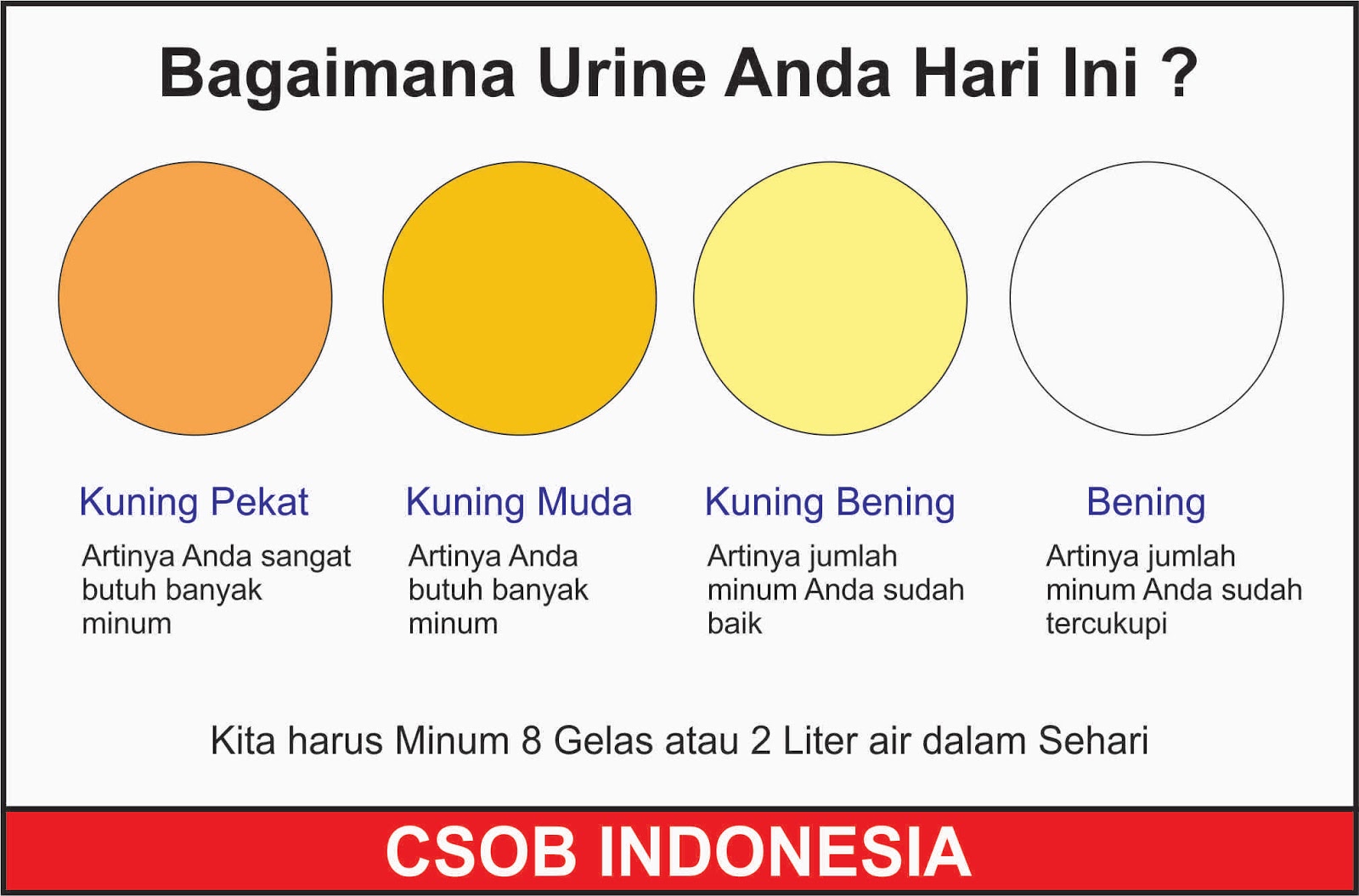 Kurang Minum Air Putih Bisa Menyebabkan Kematian Loh!