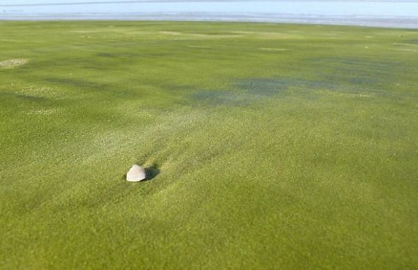 5 Pasir Pantai dengan Warna yang Unik