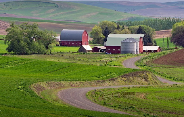 Padang Rumput Palouse Paling Cantik Di Dunia