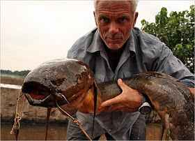 9 Monster Sungai yang Hidup di Perairan Dunia