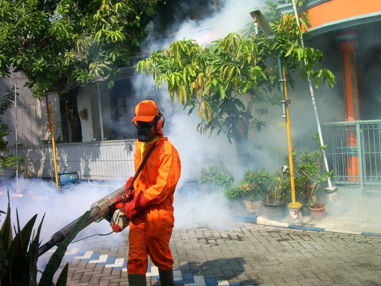 Pernah Mengikuti Ini Sewaktu Kecil?