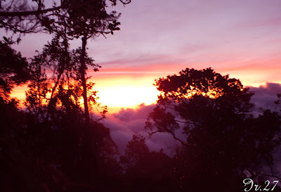 Mendaki Pangrango, puncak tertinggi kedua Jawa Barat &#91;22-25 November 2013&#93;