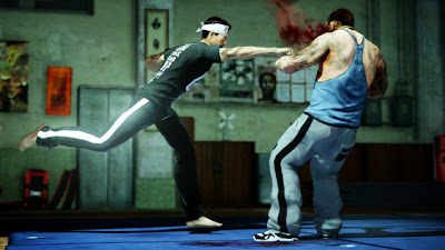 Jual Murah PC Game Sleeping Dogs 15rb Klaten - Jateng