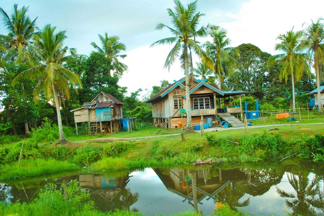 KAMPUNG TANPA HALAMAN