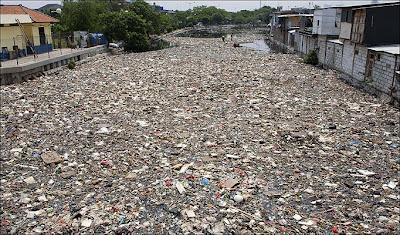 Ini Gan yang Akan Terjadi Kalau Sungai &amp; Kali Indonesia Bersih!
