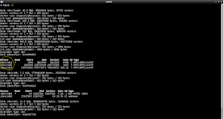 Membuka Partisi yang di Encrypt Bitlocker menggunakan Dislocker