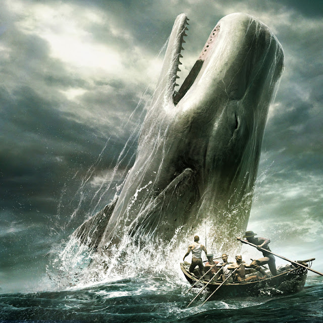 Mengenal Paus Biru (Blue Whale)
