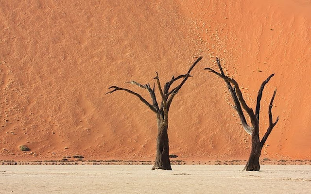 Lanskap Aneh Deadvlei Namibia