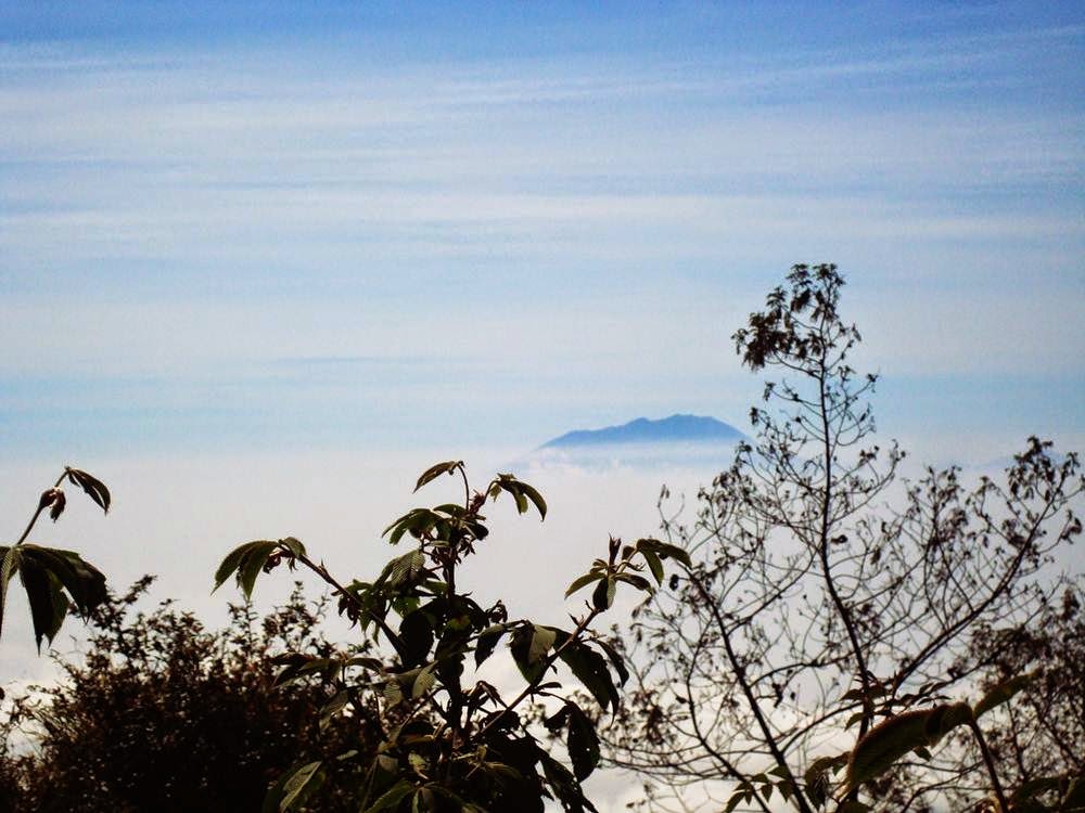 &#91;CATPER&#93; Menerjang Debu Merbabu via Selo &#91;31 Agustus - 2 September 2014&#93;