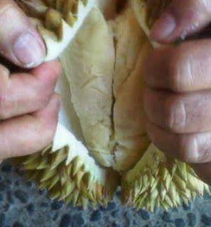 Alat Kelamin Organik ..... (Khusus aganwati)