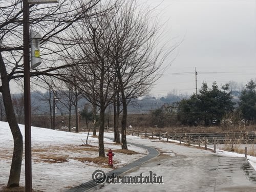 &#91;KOREA&#93; Imjingak Park-Paju &amp; Garden Of Morning Calm. Beautiful place near Seoul :)