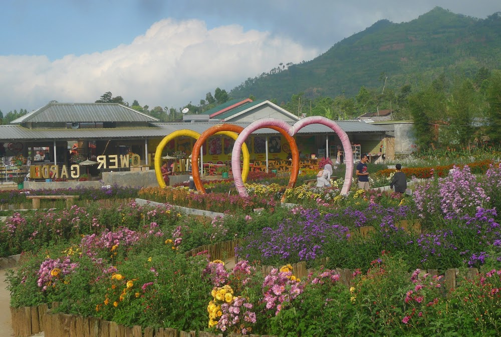 &#91;CoC Regional: Lokasi Wisata&#93; Nyasar, Sampai Kutabawa Flower Garden