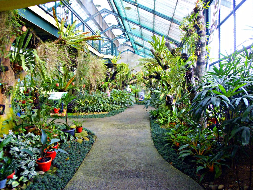 The Bogor Botanical Garden! Salah Satu Kebun Raya Tertua di Asia Tenggara!