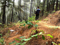&#91;CoC Regional: Lokasi Wisata&#93; Bukit Watumeja Desa Tumiyang Bikin Reda Penat