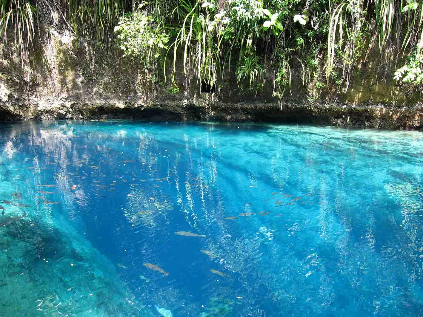 Hinatuan ! Sungai Indah Yang Tidak Memiliki Hulu