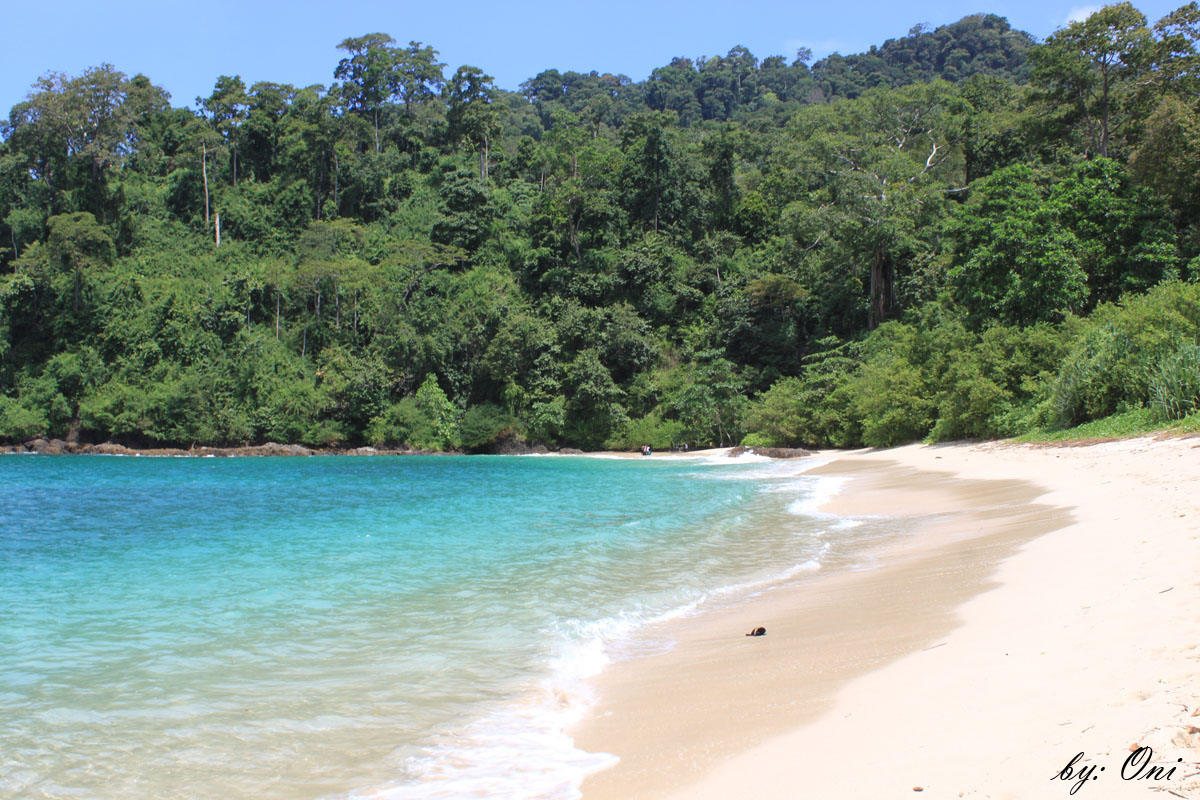 Surga Pantai Selatan Banyuwangi