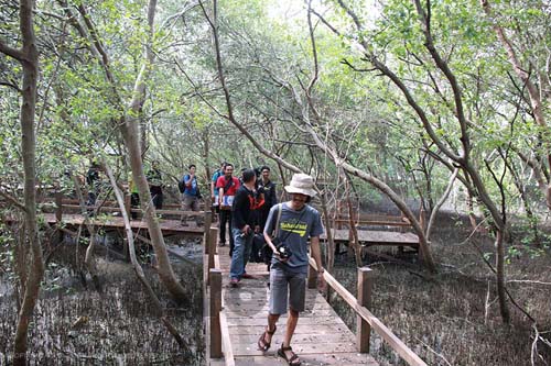 Ternyata Kota Demak Memiliki Wisata Bahari Yang Tak Kalah Keren