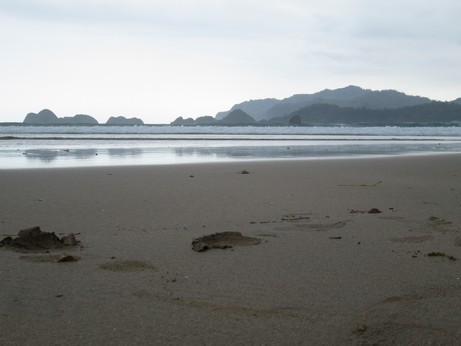 Surga Pantai Selatan Banyuwangi