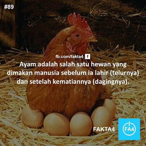 Some About Fact!
