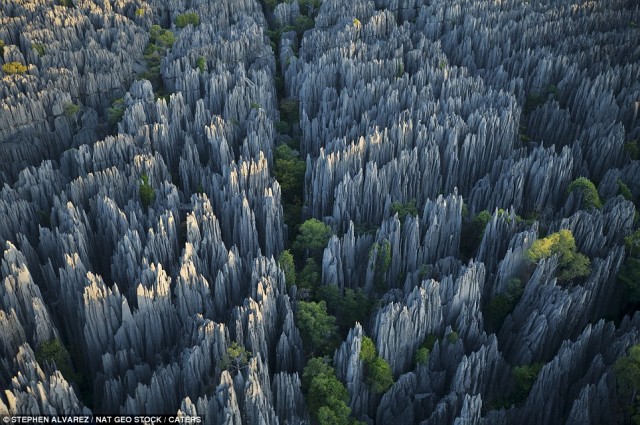 &#91;PICT&#93; Tsingy, Hutan Batu Terbesar di Dunia