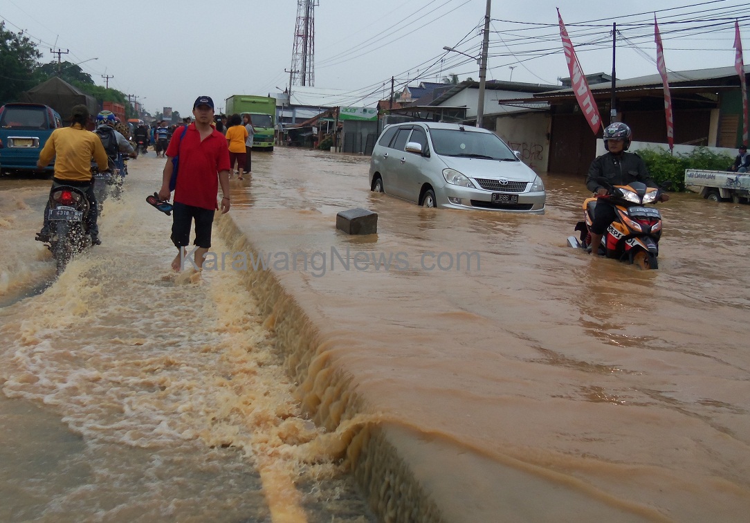 Alih Fungsi Hutan Resapan Jadi Penyebab Banjir