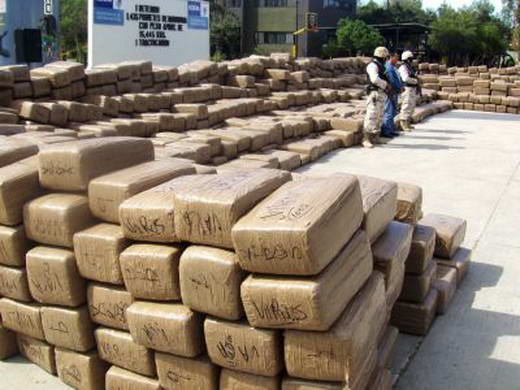 6 negara Penyalur ganja terbanyak di dunia