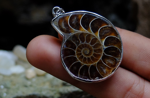 5 benda langka paling dicari di Indonesia