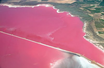 8 Danau Berwarna Pink