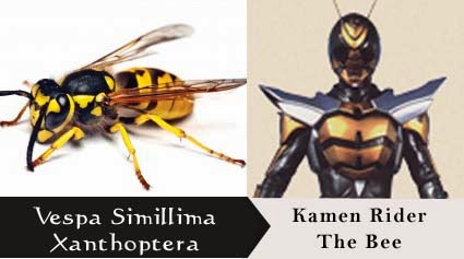  Spesies Serangga Yang Menjadi Motif Kamen Rider