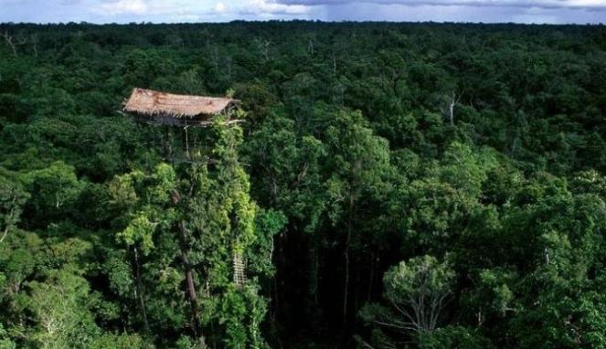 Kombai & Korowai suku pedalaman Papua yang belum banyak kita ketahui
