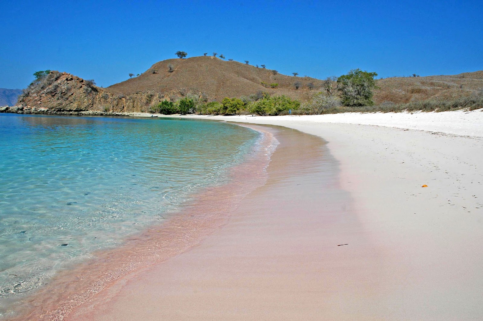 Indah Banget gan Pantai Pink di Pulau Komodo