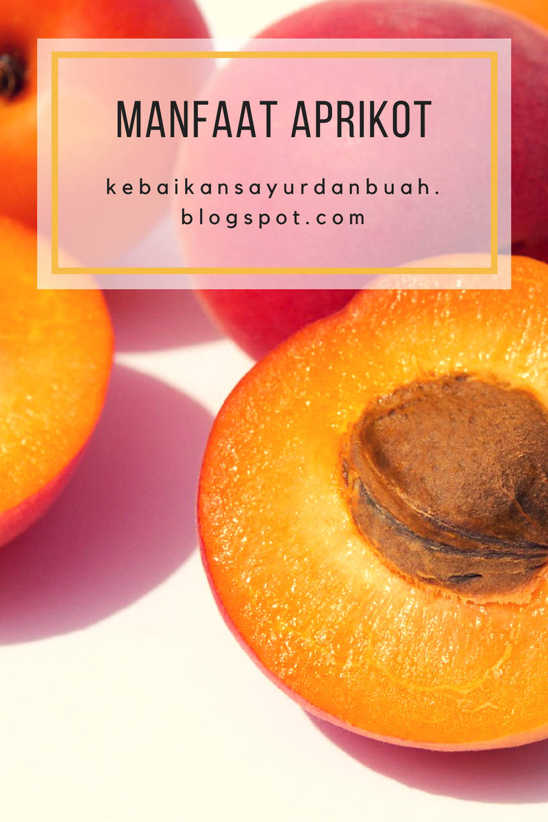 16 Manfaat buah aprikot