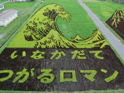 MELUKIS SAWAH SENI UNIK DARI JEPANG
