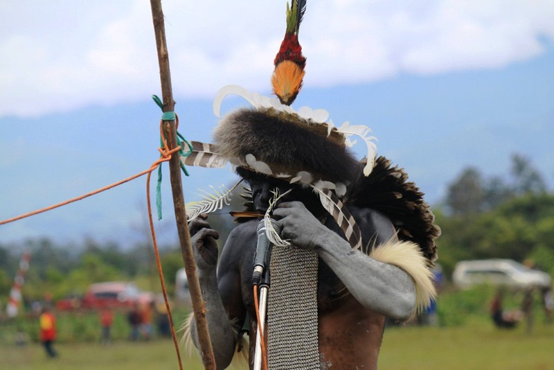 Suara Alam dari Papua nih coy!