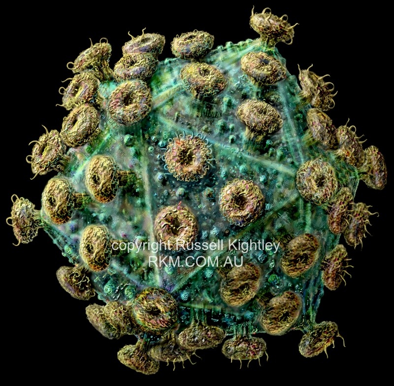 Kunci Pengobatan HIV/AIDS, CRISPR