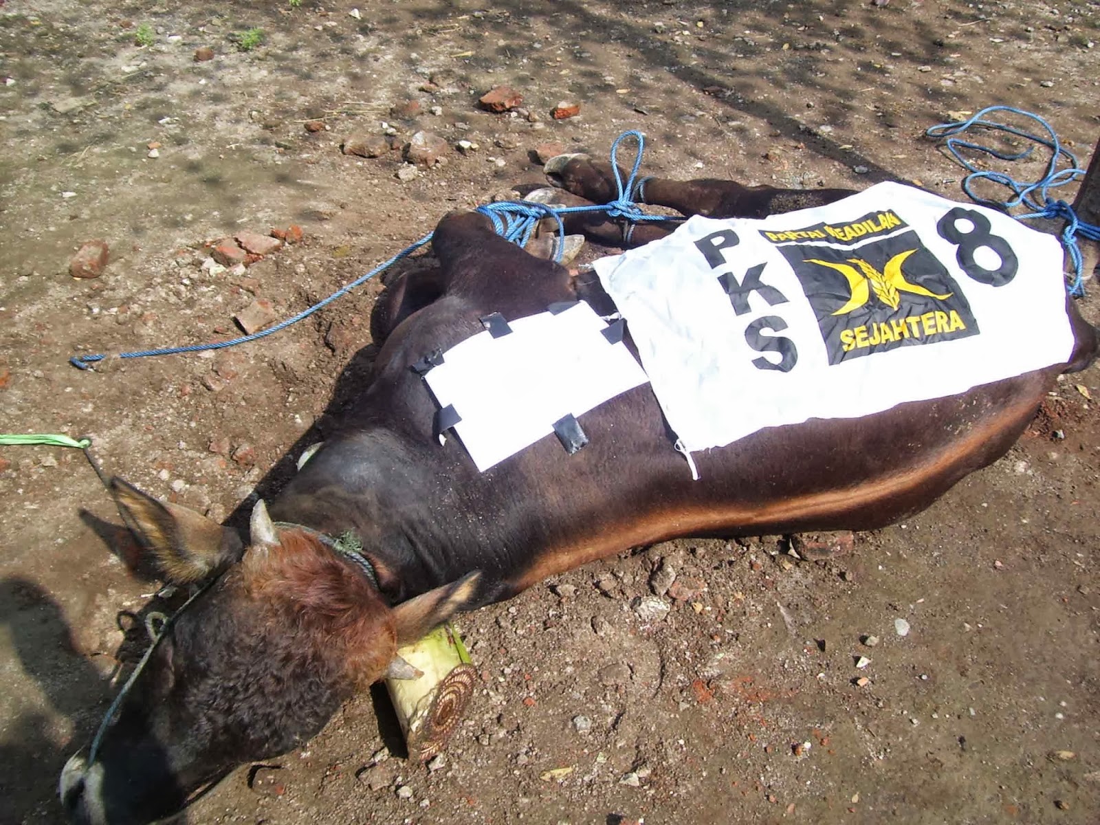 jkw---jk-adalah-kehancuran-pluralisme-di-indonesia