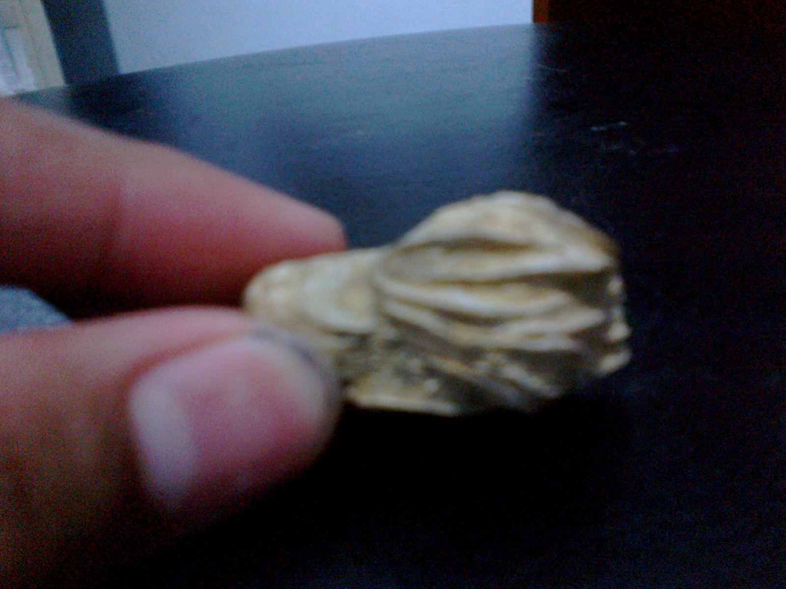 Hasil temuan Fosil - fosil ane ... : )