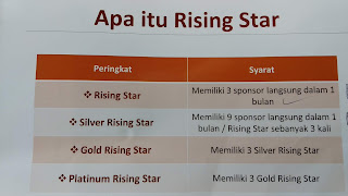 Review MLM PT BOS, PT Bae Orbit Senusantara penipu atau murni MLM?