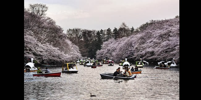 5 Kisah Misteri Mengerikan yang Hanya Bisa di Temukan di Jepang