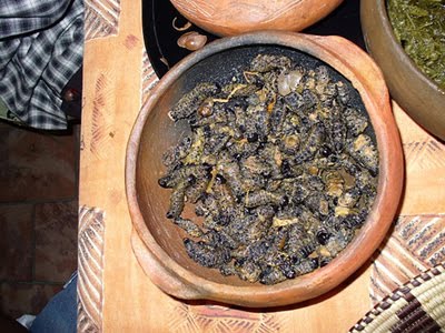 7 Makanan Unik Ekstrim Menyeramkan Dari Afrika