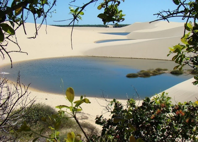 Padang Pasir yang Kebanjiran