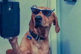 FOto Selfie Gokil