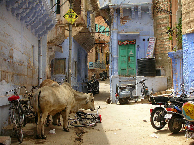 Kota Jodphur, Sebuah Kota Biru di India