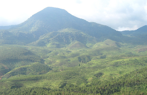 BUKIT TUNGGUL, wisata gunung yang masih asri di dekat Bandung