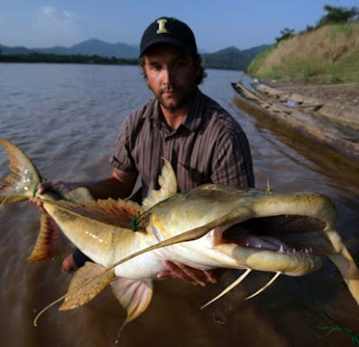 9 Ikan Paling Aneh Dan Berwajah Garang Penguasa Sungai Air Tawar