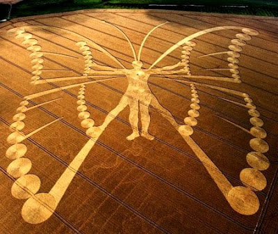 7 Crop Circle Terbesar Di dunia